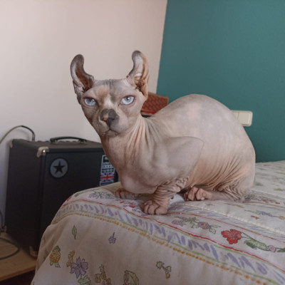 Foto de Kimiko