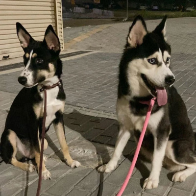 FARAH y JASMINE