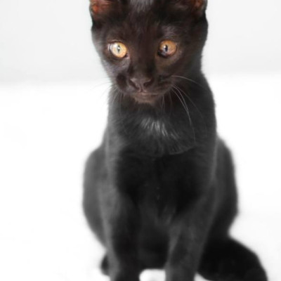 Coco