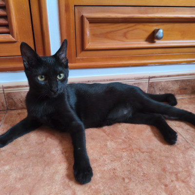 Mia