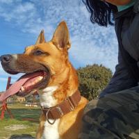 Kiara