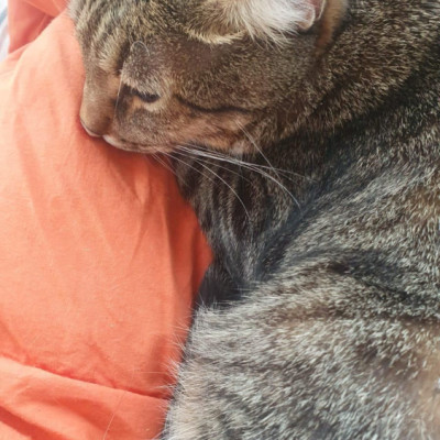 Nilo