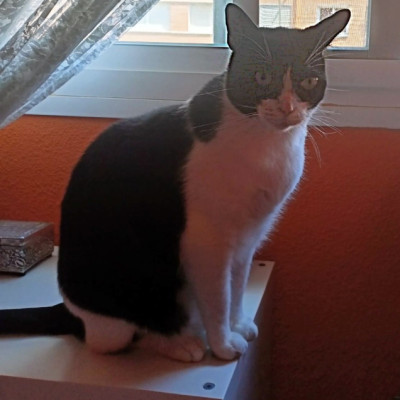 KASPER