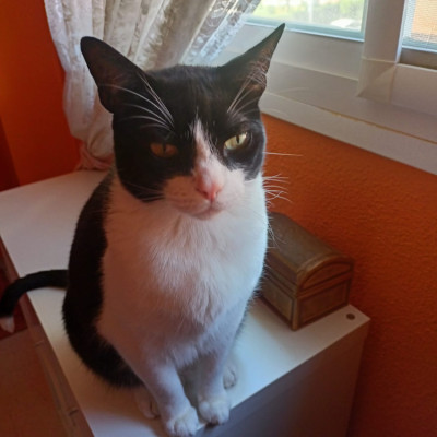 KASPER