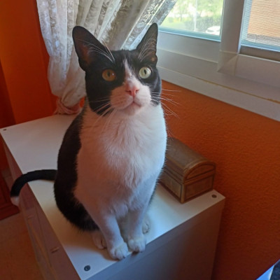 KASPER