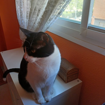 KASPER