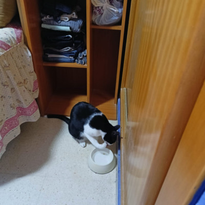 KASPER