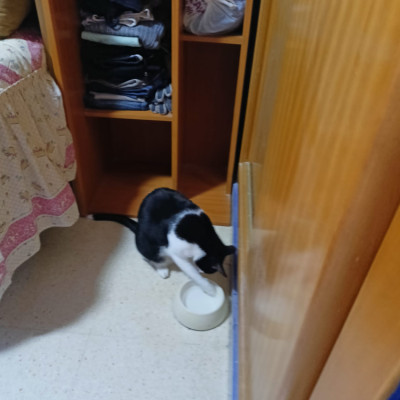 KASPER