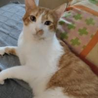 Foto de ALBI