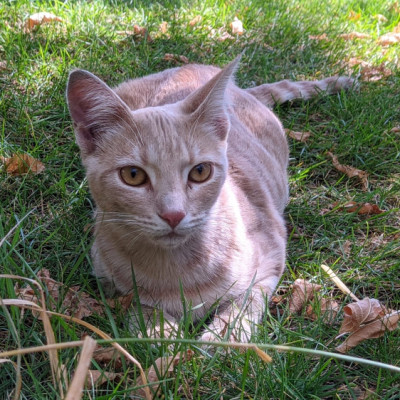 Foto de RUBI