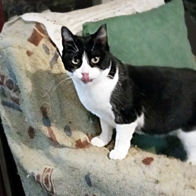 NIÑA