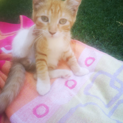 Foto de BRUCE