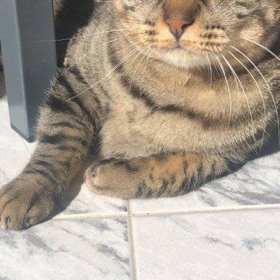 Foto de CARLA