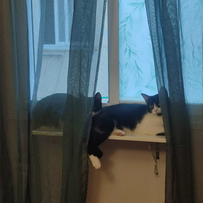 MINNIE