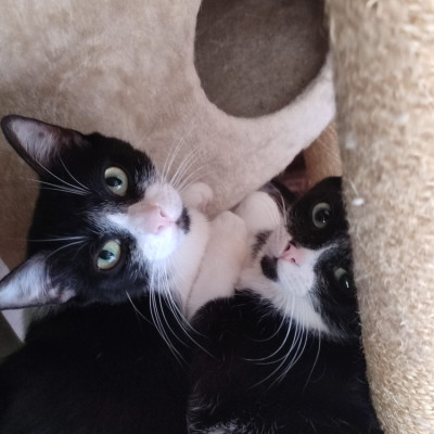 MINNIE