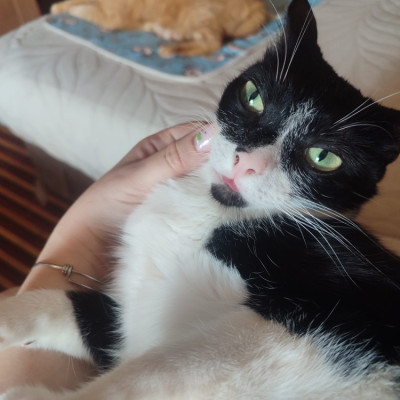 MINNIE