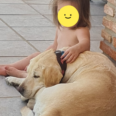 DORA