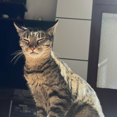 PERLA