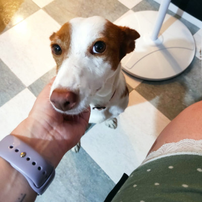 CHICA