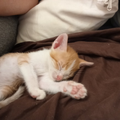 JITA