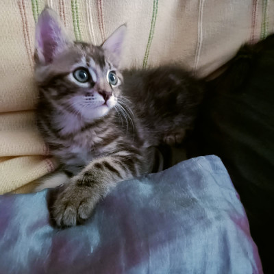 WINNIE