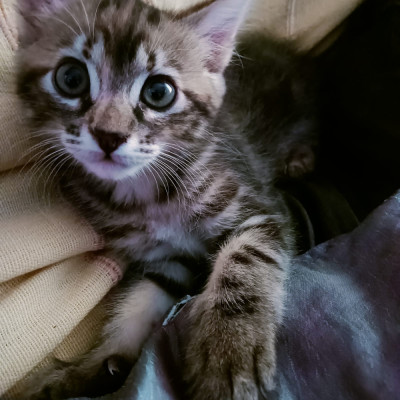 WINNIE