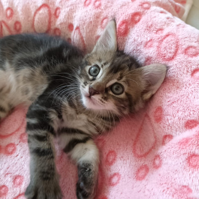 WINNIE