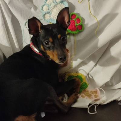 TOBI