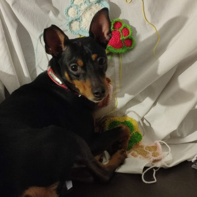 TOBI