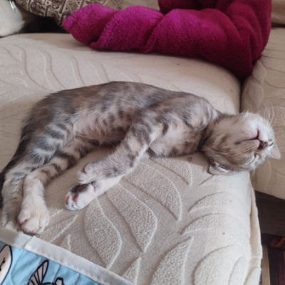 KIRA