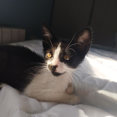 julio