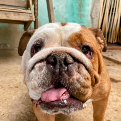 Foto de MADELAINE