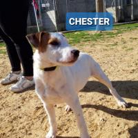 CHESTER