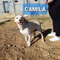 CAMILA