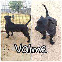 Valme