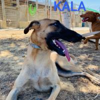KALA