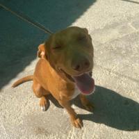 WINNIE