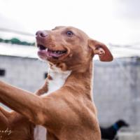 WINNIE