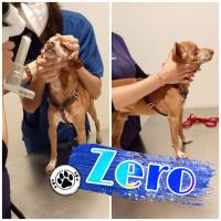 ZERO