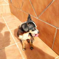 DUENDE