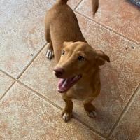 CAMILO