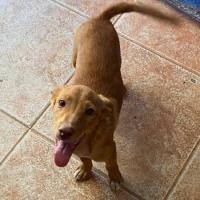 CAMILO