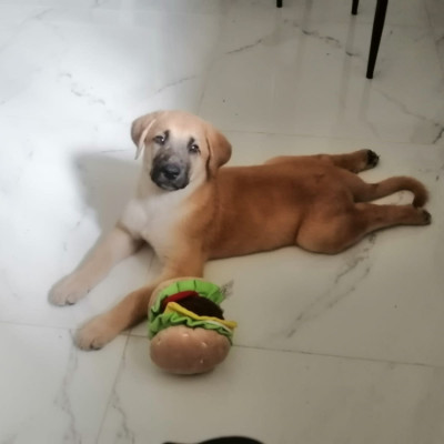 Foto de MUSA