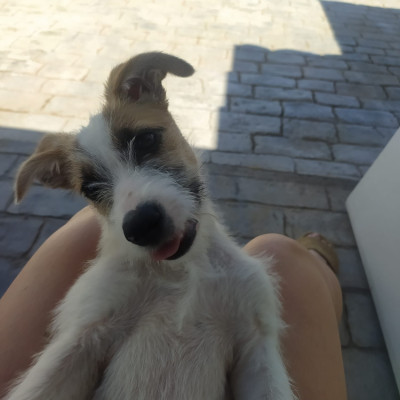 Foto de JACKIE