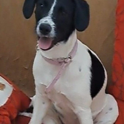BLANQUI