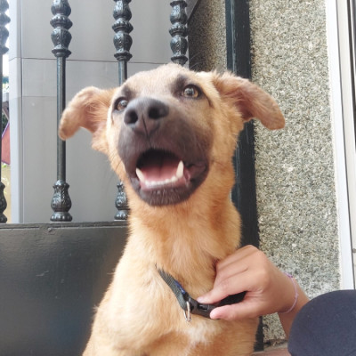 MILO