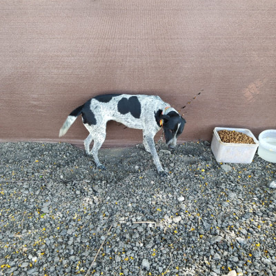 KIMBA