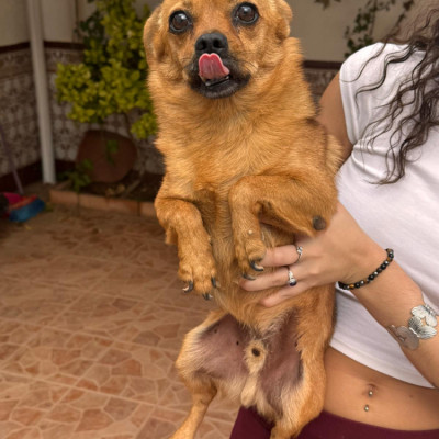 TOBY