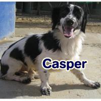 CASPER