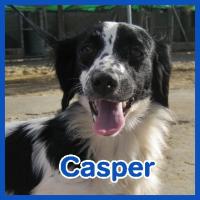 CASPER